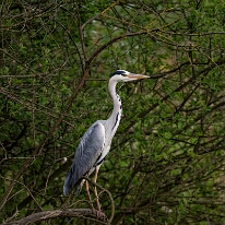 DSC08693_DxO