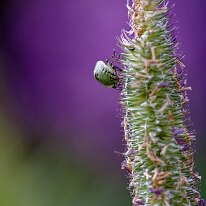 DSC01283_DxO