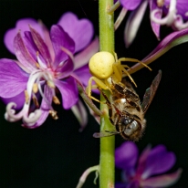 DSC01290_DxO