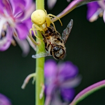 DSC01309_DxO