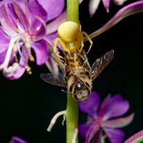 DSC01329_DxO