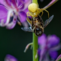DSC01353_DxO