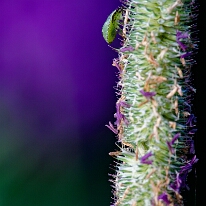 DSC01390_DxO