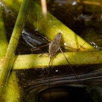 DSC01468_DxO
