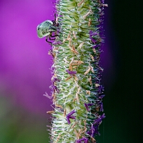DSC01365_DxO