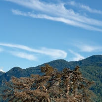 DSC01426_DxO
