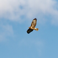 DSC02746_DxO